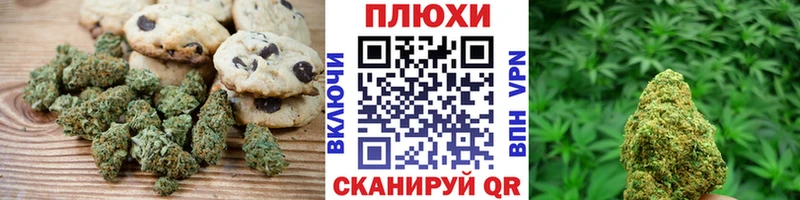 Canna-Cookies марихуана  цена   Сальск 