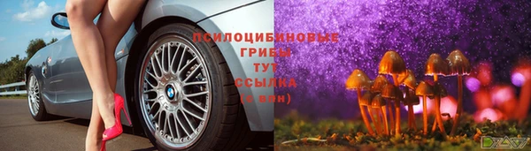 стаф Новодвинск