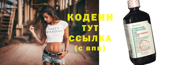 винт Новозыбков