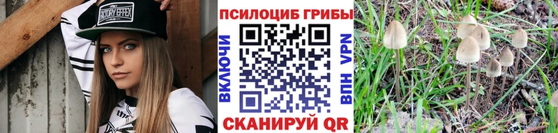 Псилоцибиновые грибы мухоморы даркнет сайт Сальск
